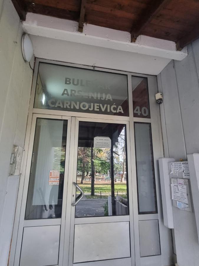 شقة Hawaii- 2 Bdr, Arena, Sava Centar, Free Parking بلغراد المظهر الخارجي الصورة